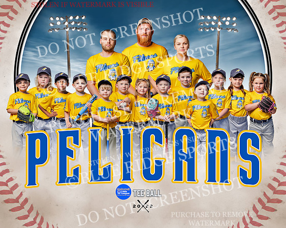 pelicans.team