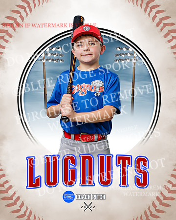 LUGNUTS 039 of 40