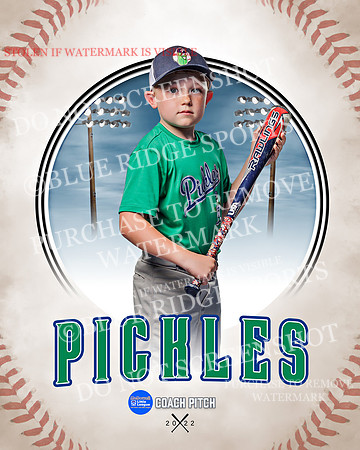 PICKLES 006 of 43
