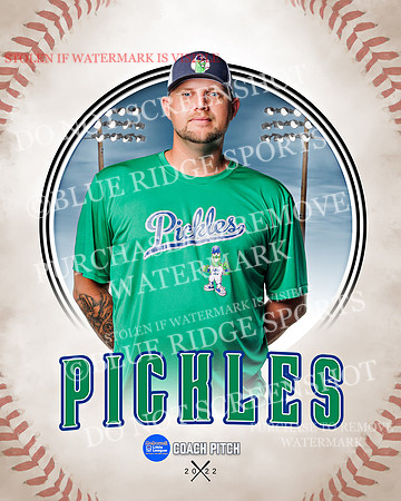 PICKLES 018 of 43