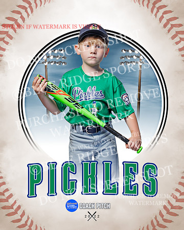 PICKLES 021 of 43