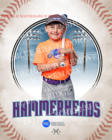 HAMMERHEADS 014 of 42