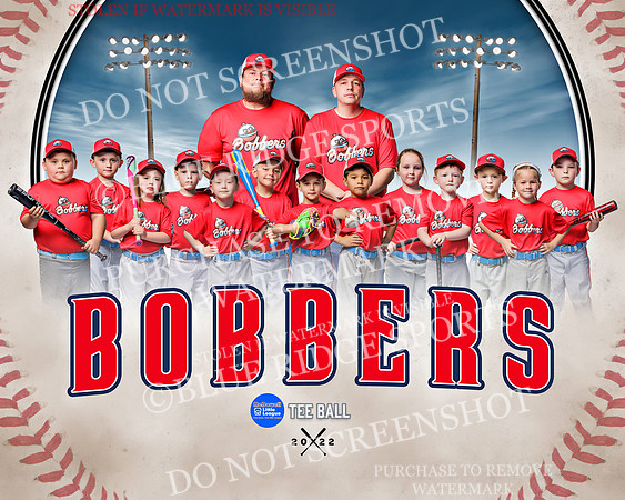 bobbers.team