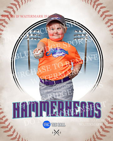 HAMMERHEADS 017 of 42