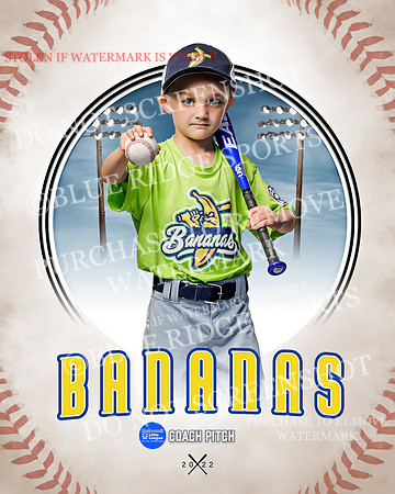 BANANAS 012 of 41