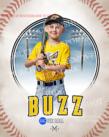 BUZZ 032 of 33