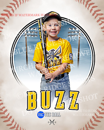 BUZZ 023 of 33