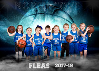 fleas team