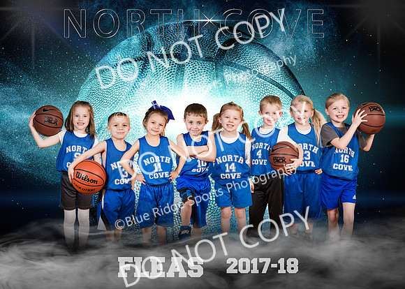 fleas team
