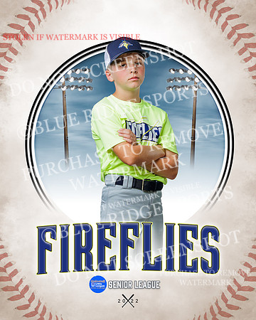 FIREFLIES 003 of 18