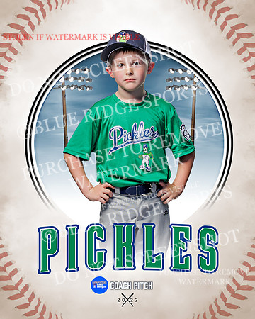 PICKLES 002 of 43