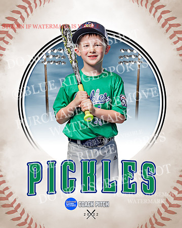 PICKLES 003 of 43