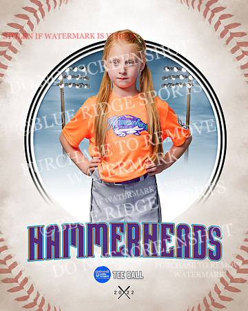 HAMMERHEADS 024 of 42