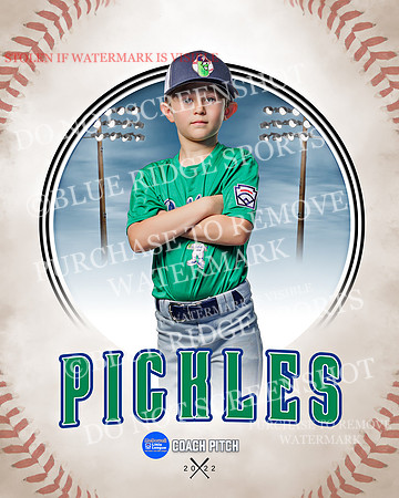 PICKLES 026 of 43