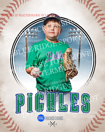 PICKLES 015 of 43