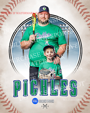 PICKLES 035 of 43