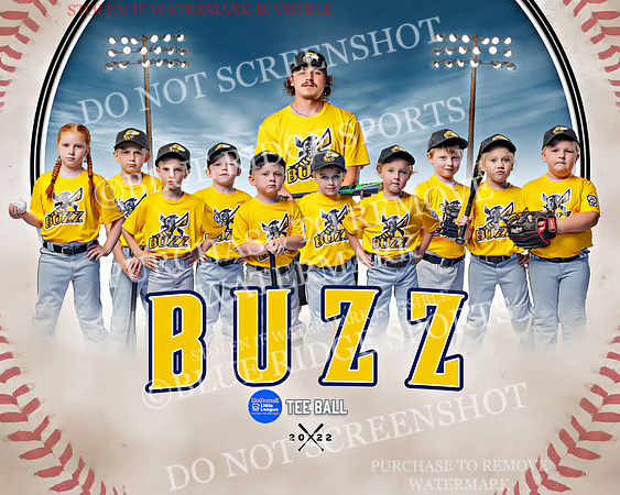 buzz.team
