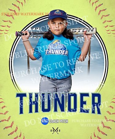 THUNDER 003 of 48