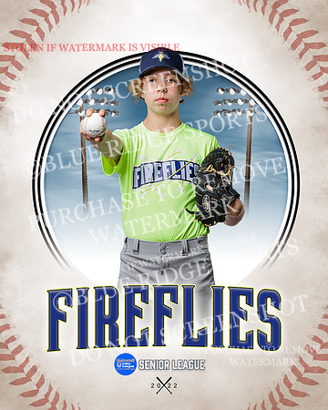 FIREFLIES 016 of 18