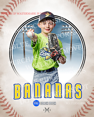 BANANAS 025 of 41
