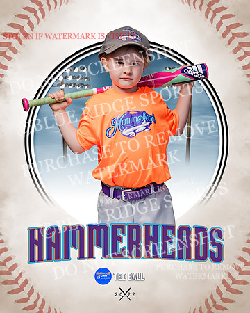 HAMMERHEADS 030 of 42