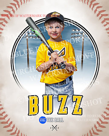 BUZZ 030 of 33