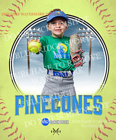 PINECONES 016 of 41