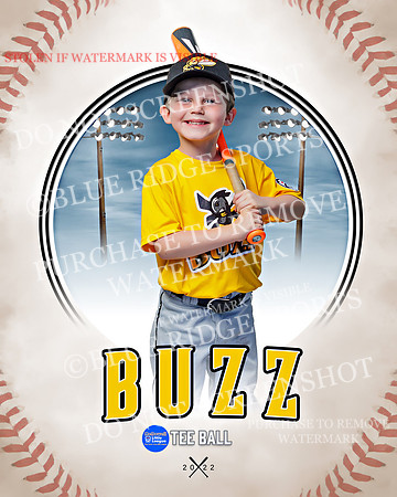 BUZZ 008 of 33