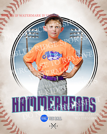 HAMMERHEADS 039 of 42