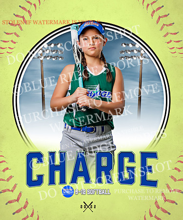 CHARGE 046 of 52