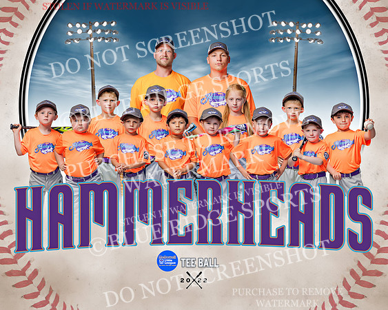 hammerheads.team