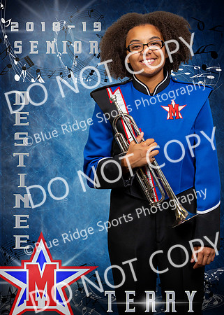 destinee terry