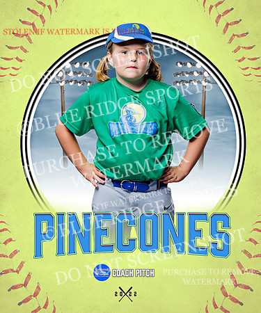 PINECONES 020 of 41