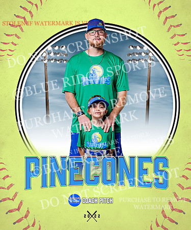PINECONES 033 of 41