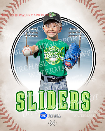 SLIDERS 003 of 49