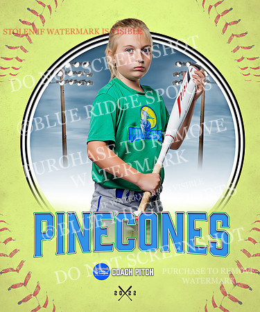PINECONES 029 of 41