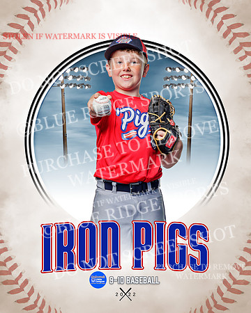 IRON PIGS 034 of 38
