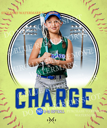 CHARGE 045 of 52