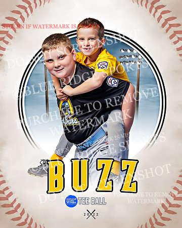 BUZZ 028 of 33