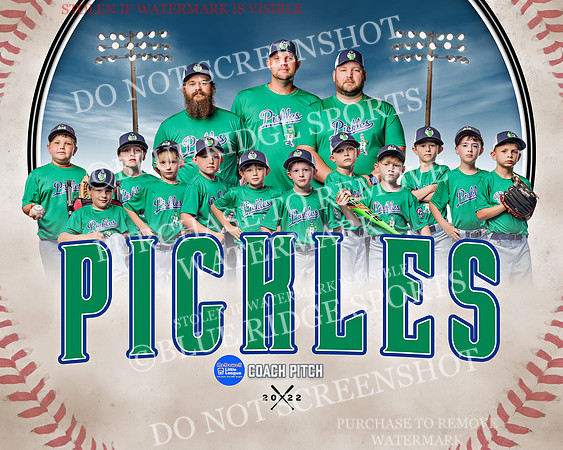 1 pickles.team
