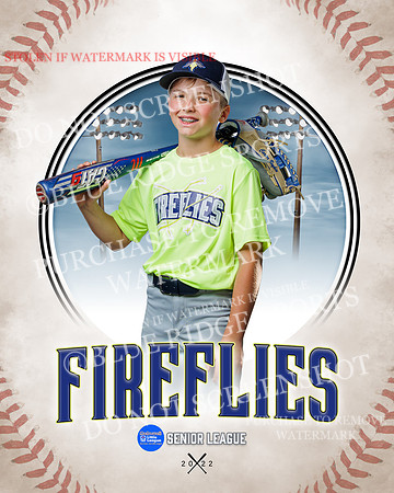 FIREFLIES 002 of 18