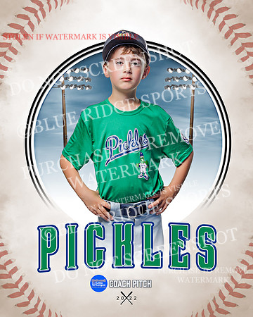 PICKLES 040 of 43