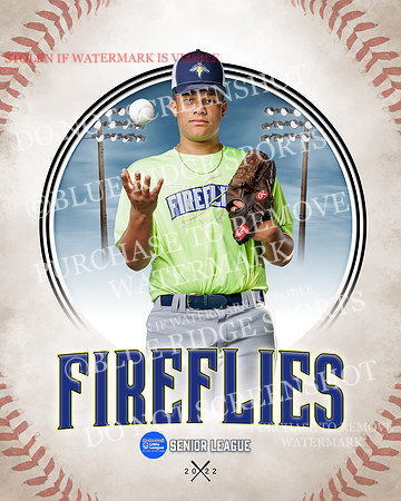 FIREFLIES 013 of 18