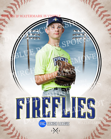 FIREFLIES 010 of 18
