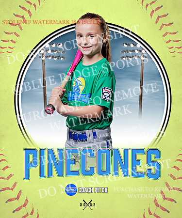 PINECONES 013 of 41