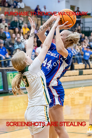 JV GIRLS CONFERENCE CHAMPIONSHIP (28 of 28)