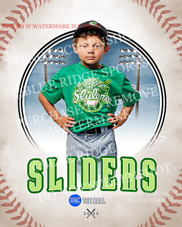 SLIDERS 036 of 49