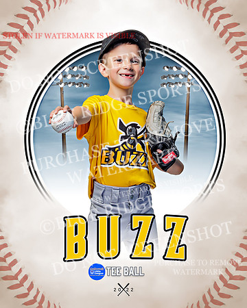 BUZZ 026 of 33