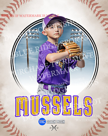 MUSSELS 006 of 36