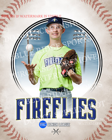 FIREFLIES 008 of 18